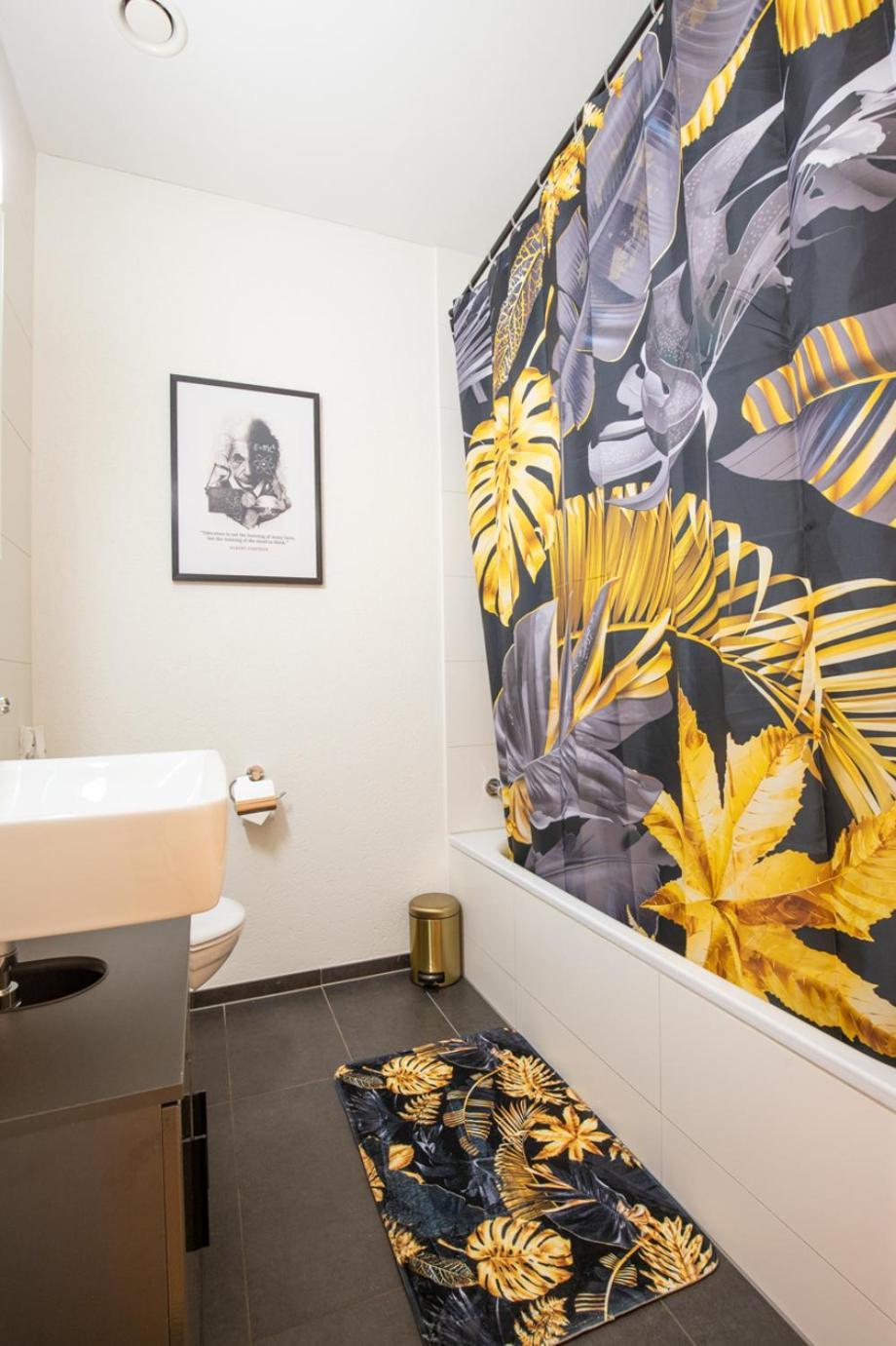 Apartment Special Einstein Ii Basel, Messe Kleinbasel 10-star *