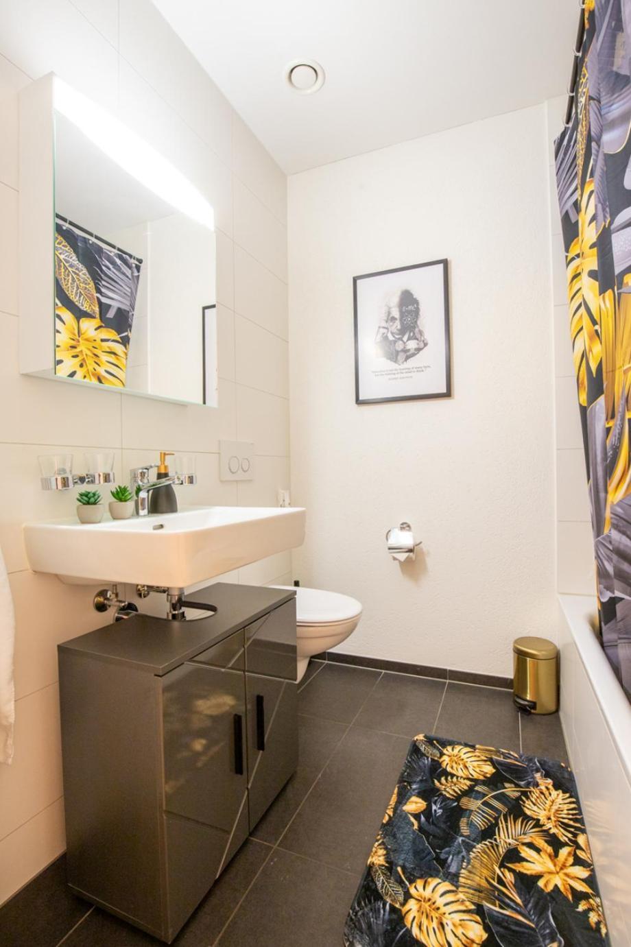 Apartment Special Einstein Ii Basel, Messe Kleinbasel 10-star *
