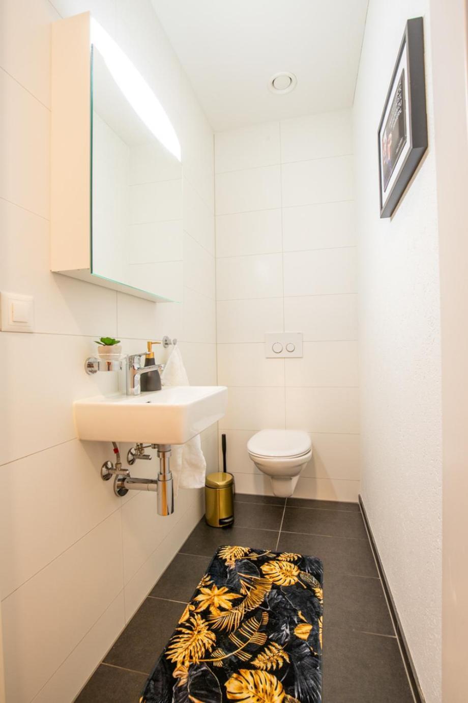 Apartment Special Einstein Ii Basel, Messe Kleinbasel 10-star *