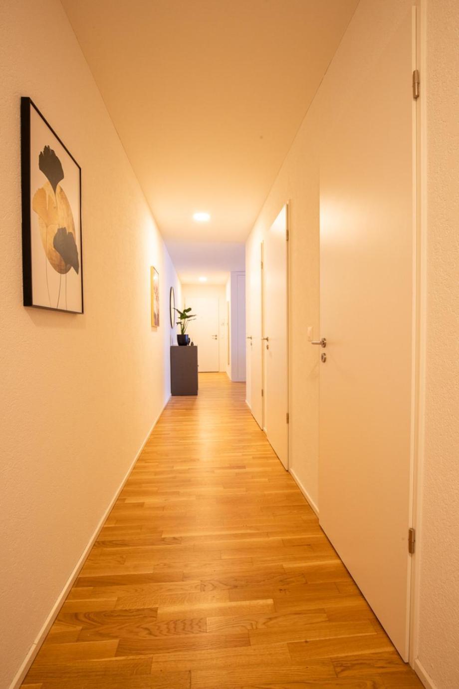 Apartment Special Einstein Ii Basel, Messe Kleinbasel 10-star *